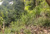 Land for Sale in Kandy