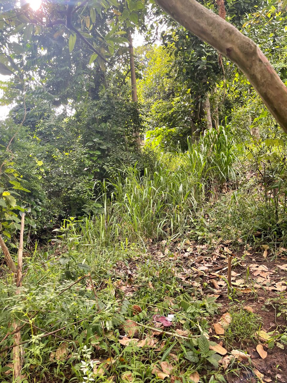 Land for Sale in Kandy