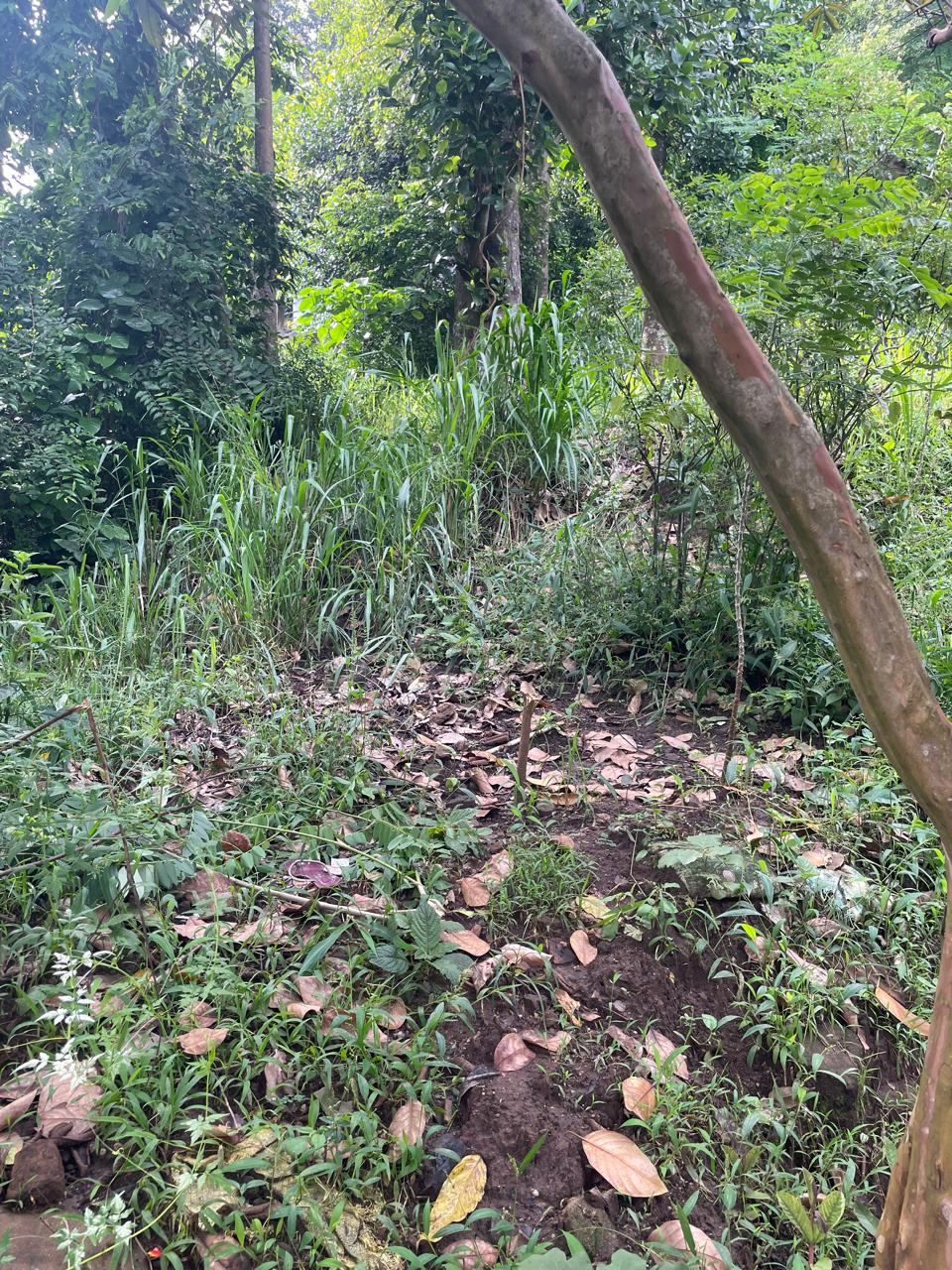 Land for Sale in Kandy