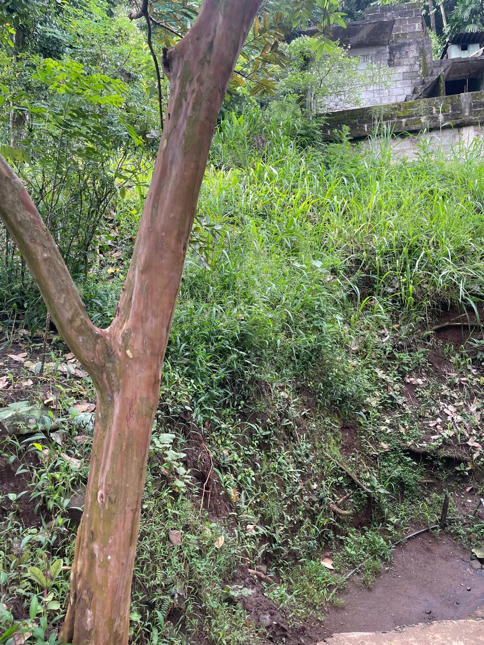 Land for Sale in Kandy