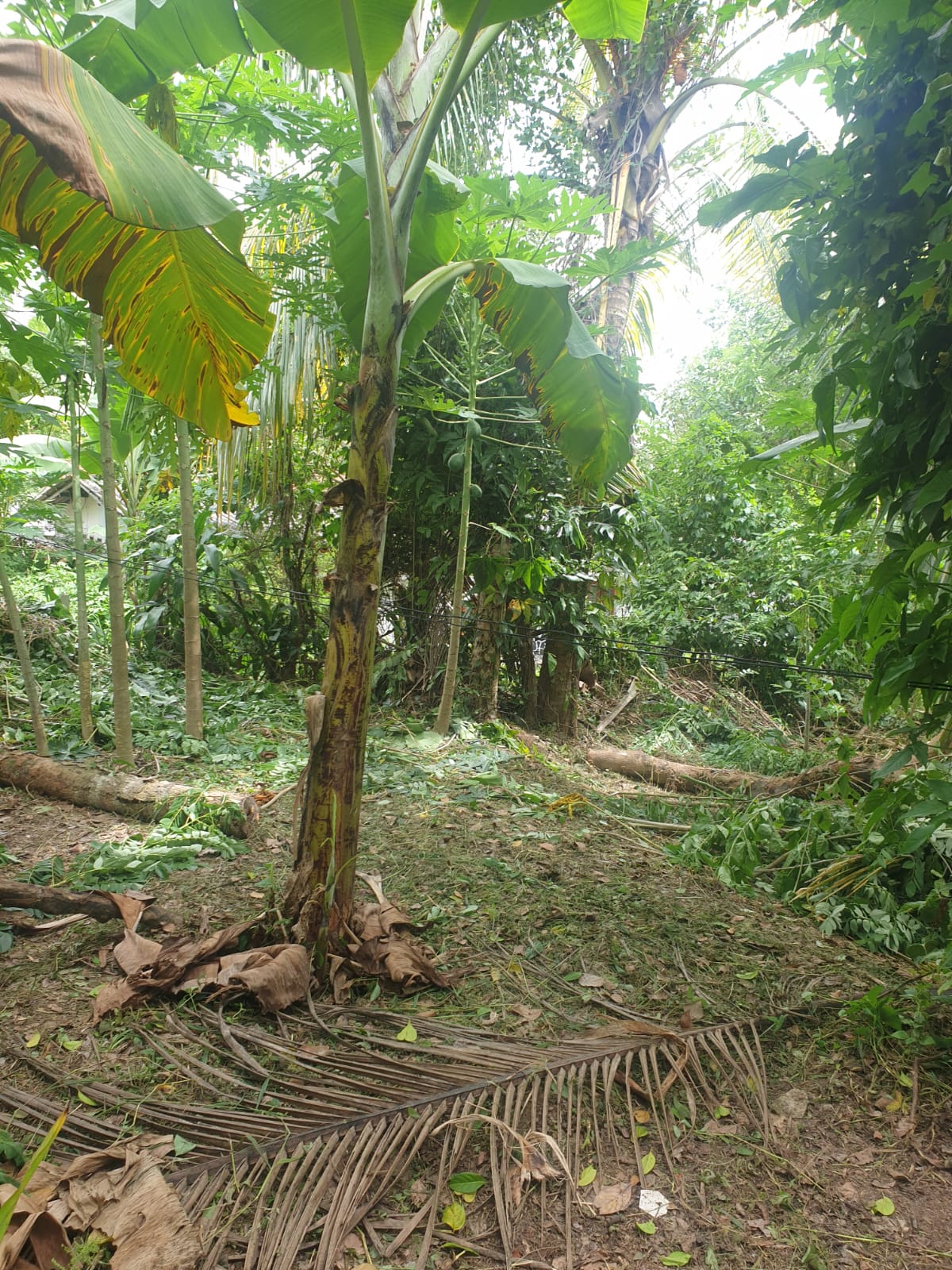 Land For Sale Ganemulla