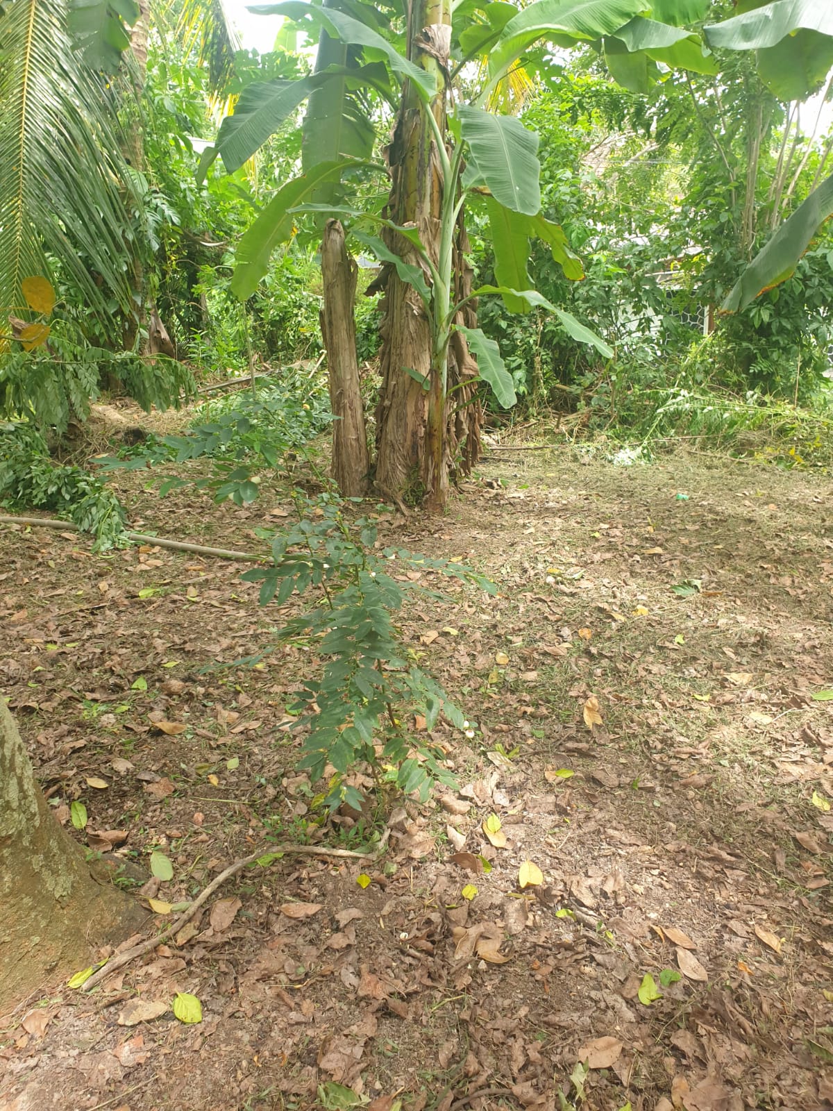 Land For Sale Ganemulla