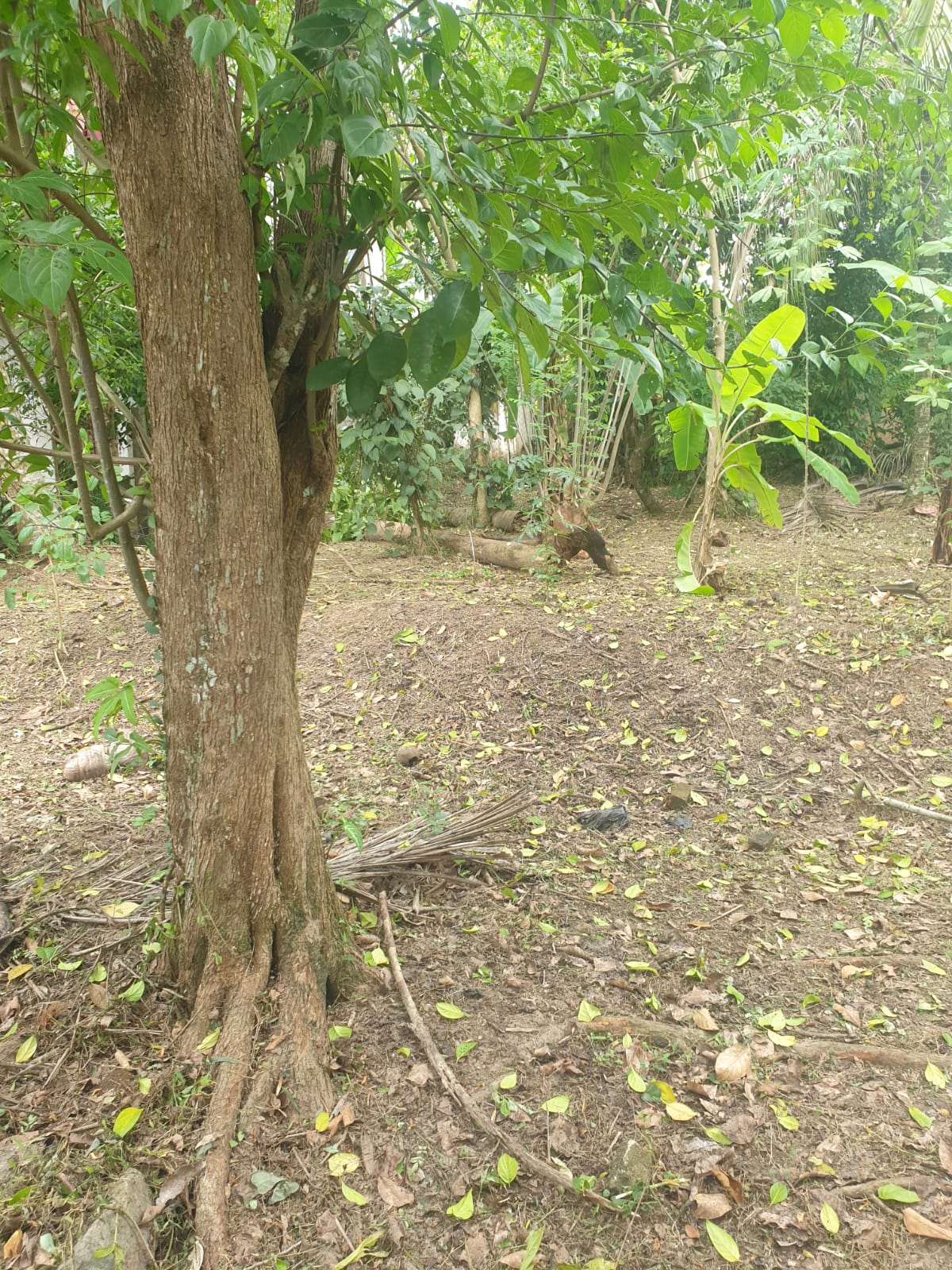 Land For Sale Ganemulla