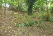 Land For Sale Ganemulla