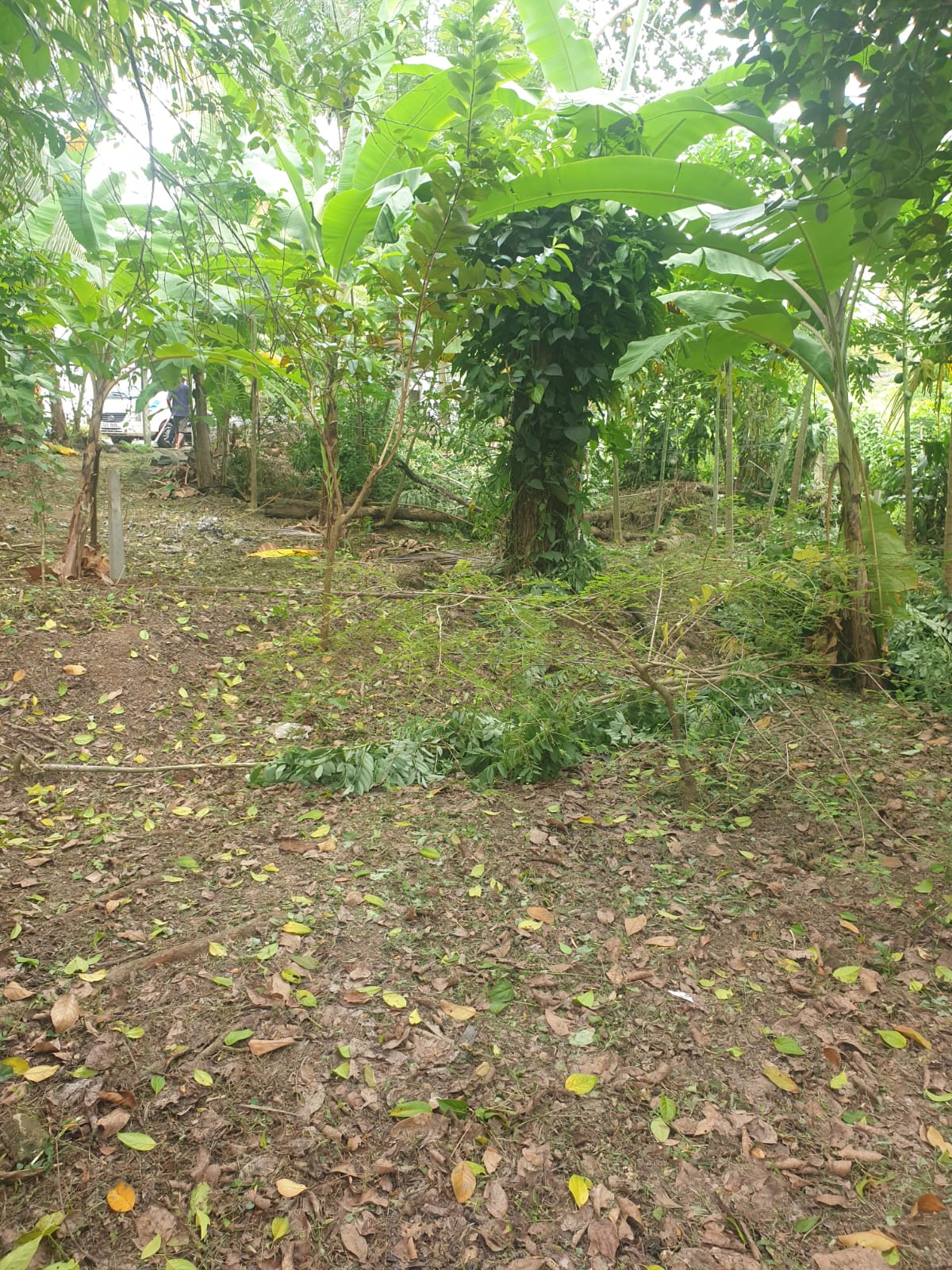 Land For Sale Ganemulla