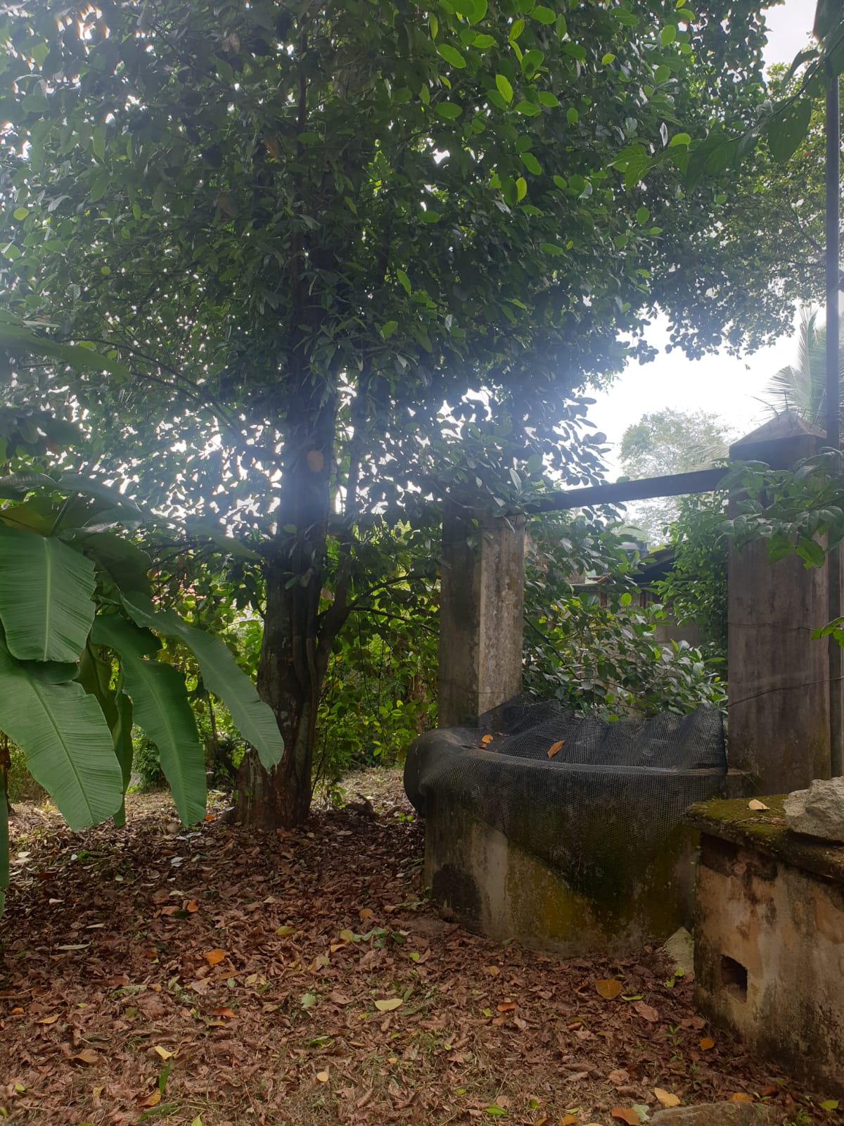 Land For Sale Ganemulla