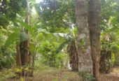 Land For Sale Ganemulla