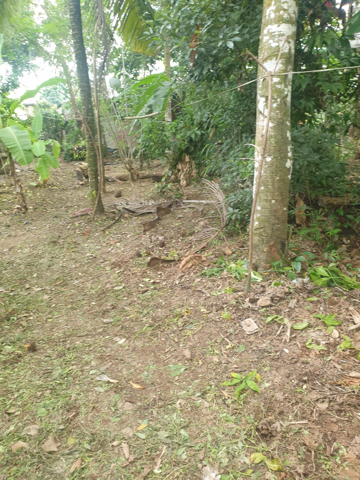 Land For Sale Ganemulla