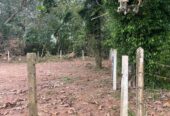 Residential Land for Sale Thalawathugoda