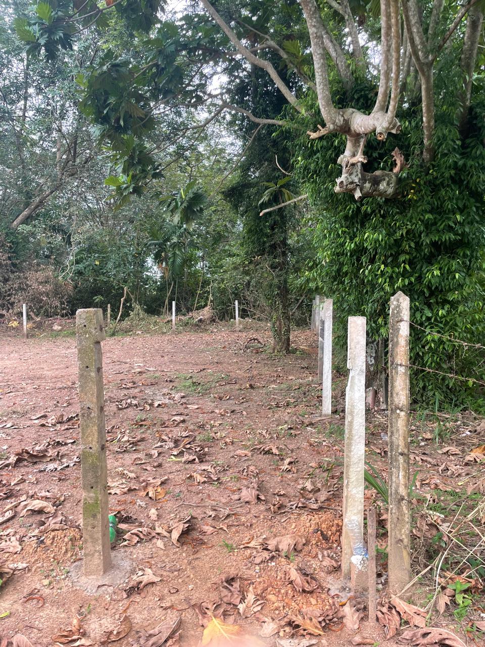 Residential Land for Sale Thalawathugoda
