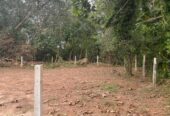 Residential Land for Sale Thalawathugoda