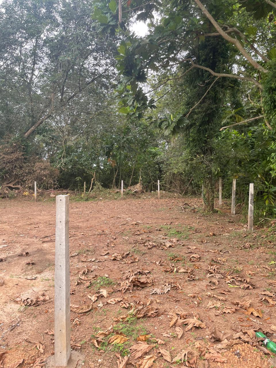 Residential Land for Sale Thalawathugoda