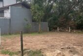Residential Land for Sale Thalawathugoda