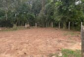 Residential Land for Sale Thalawathugoda