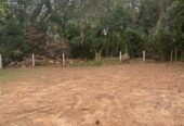 Residential Land for Sale Thalawathugoda