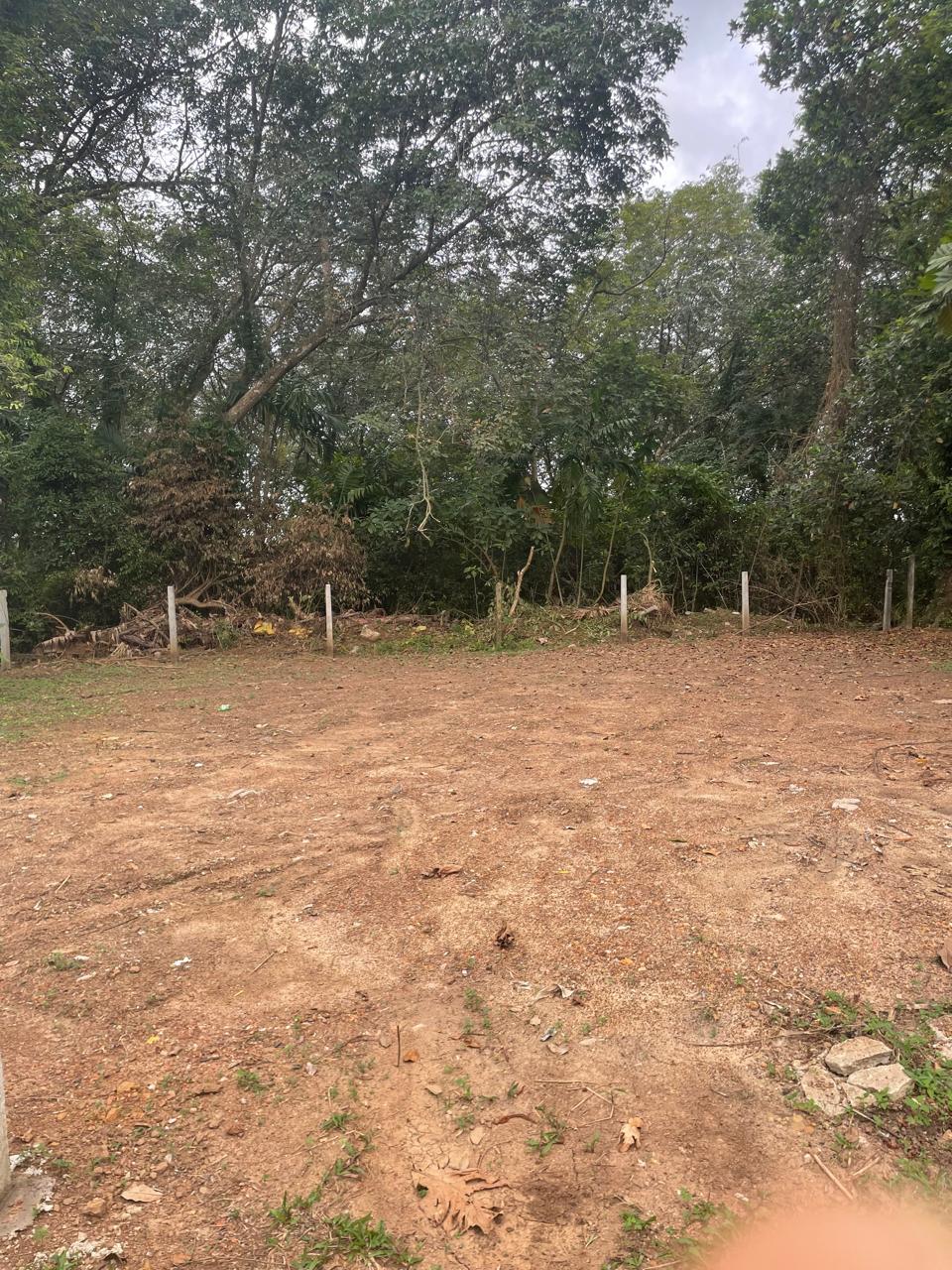 Residential Land for Sale Thalawathugoda