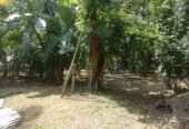 Land for Sale in Kurukulawa Ragama
