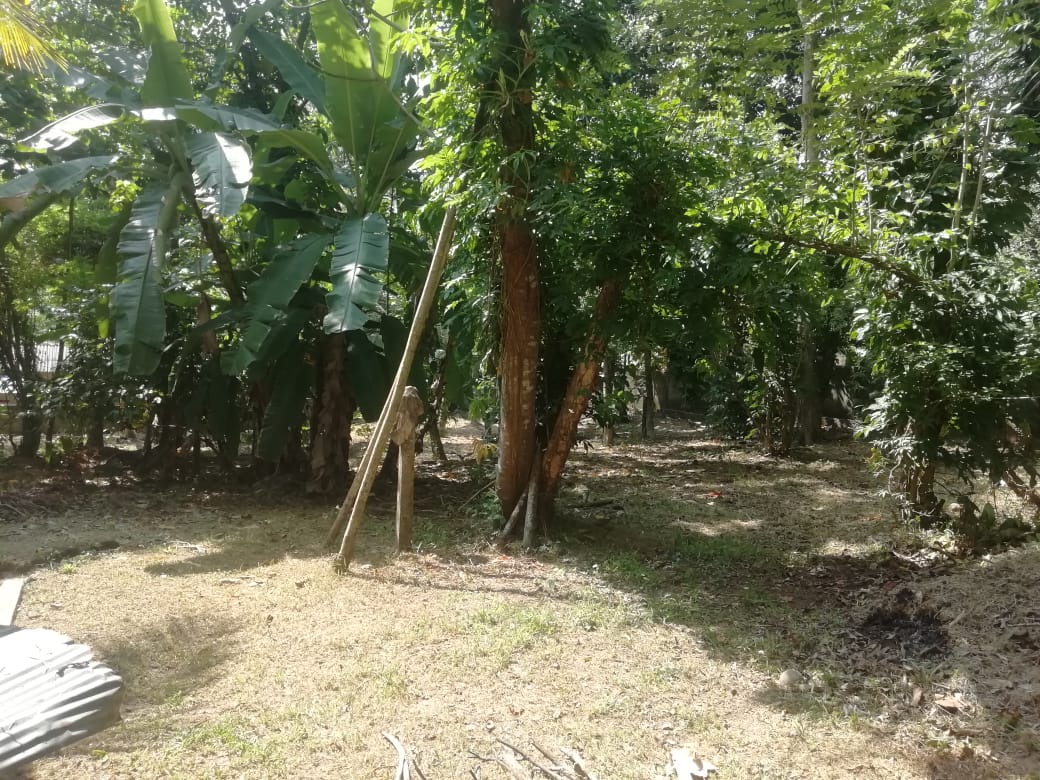 Land for Sale in Kurukulawa Ragama