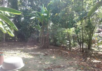 Land for Sale in Kurukulawa Ragama