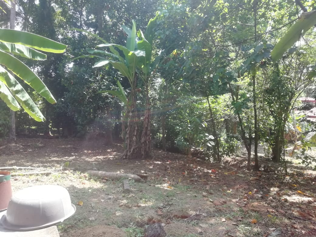 Land for Sale in Kurukulawa Ragama