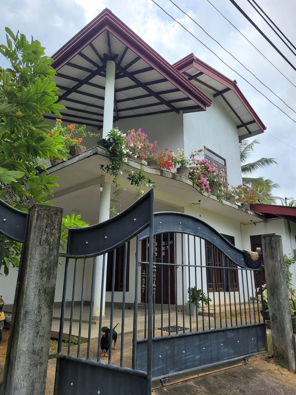 House for Sale in Meegama Alutgama