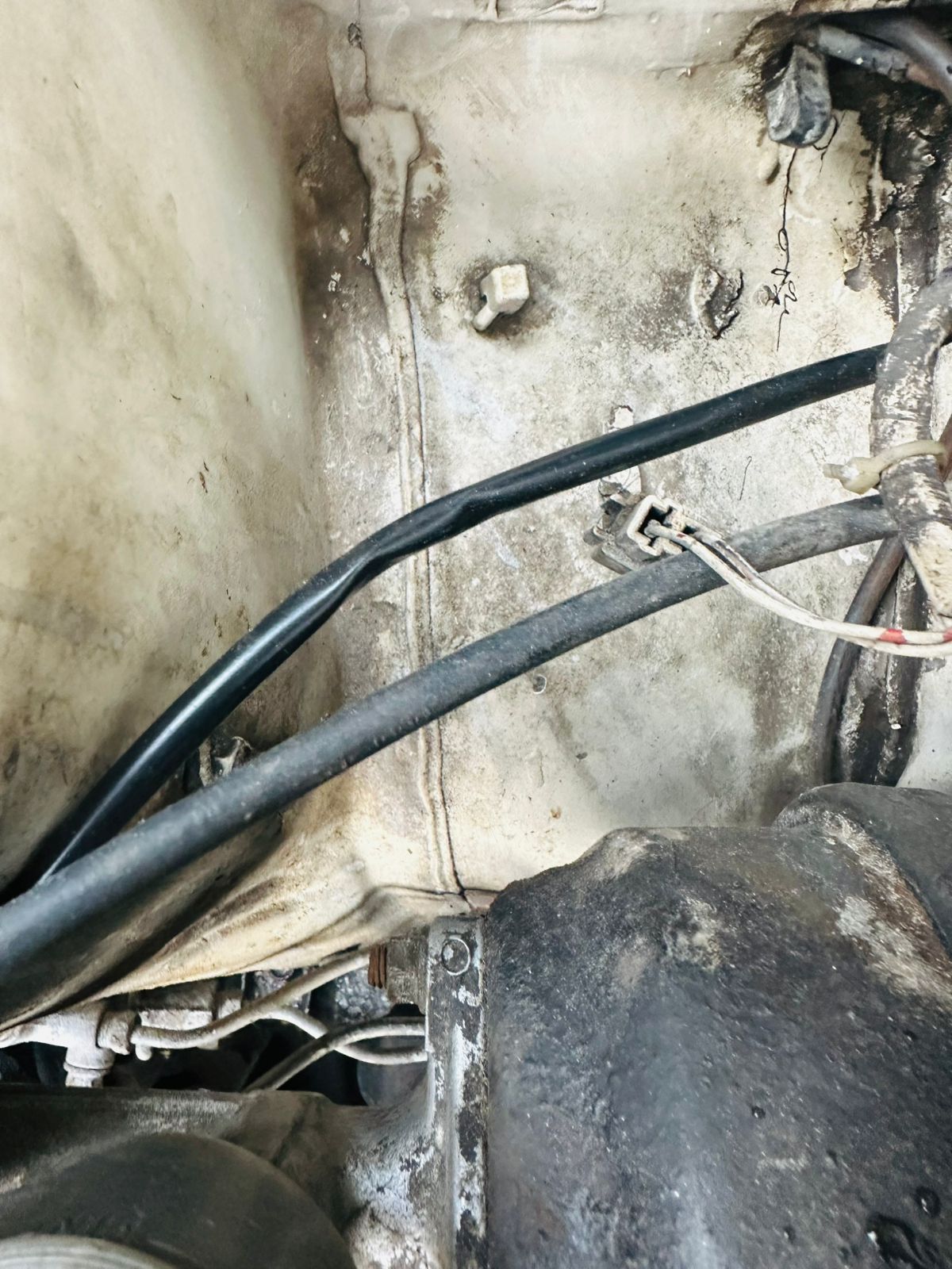 Toyota Corolla DX wagon 1983