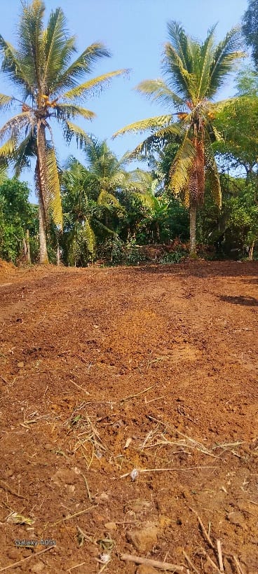 කලුතර Land for Sale