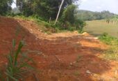 Land for Sale Rathnapura