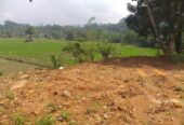 Land for Sale Rathnapura