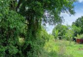 Land for Sale – Habarana (Moragaswawa)