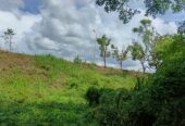 Land for Sale – Habarana (Moragaswawa)