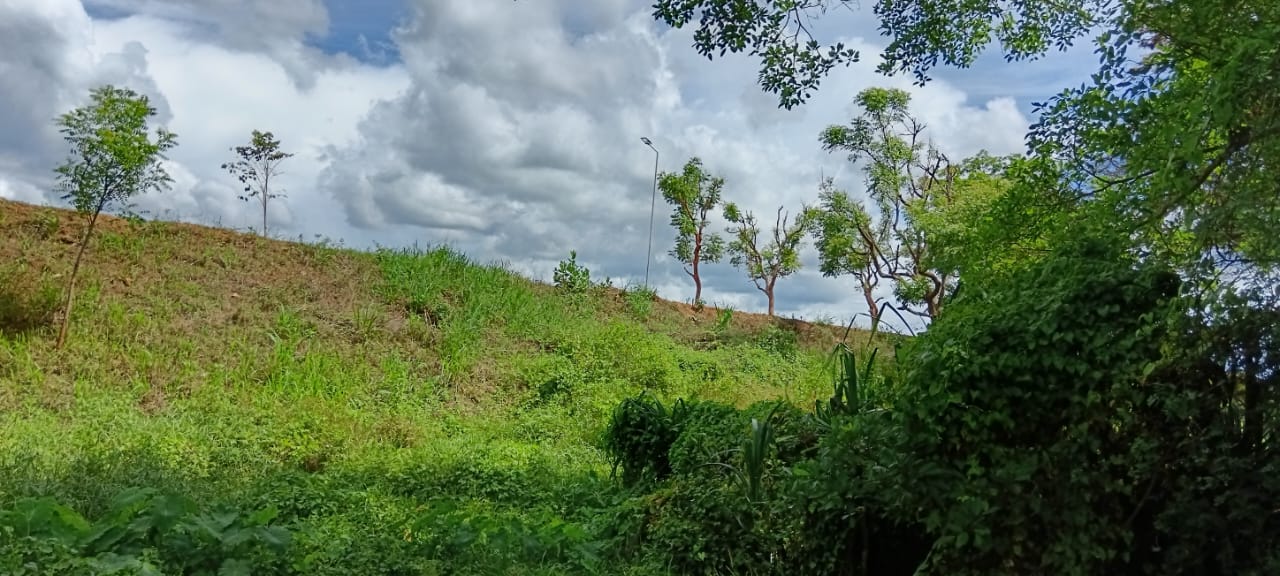 Land for Sale – Habarana (Moragaswawa)