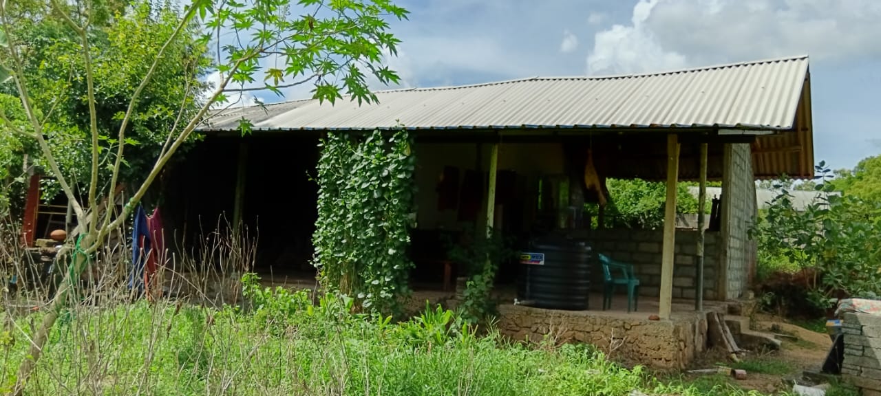 Land for Sale – Habarana (Moragaswawa)