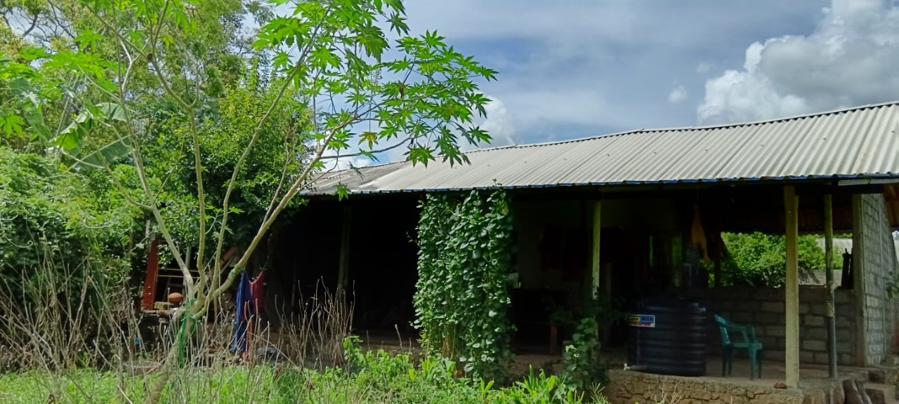 Land for Sale – Habarana (Moragaswawa)