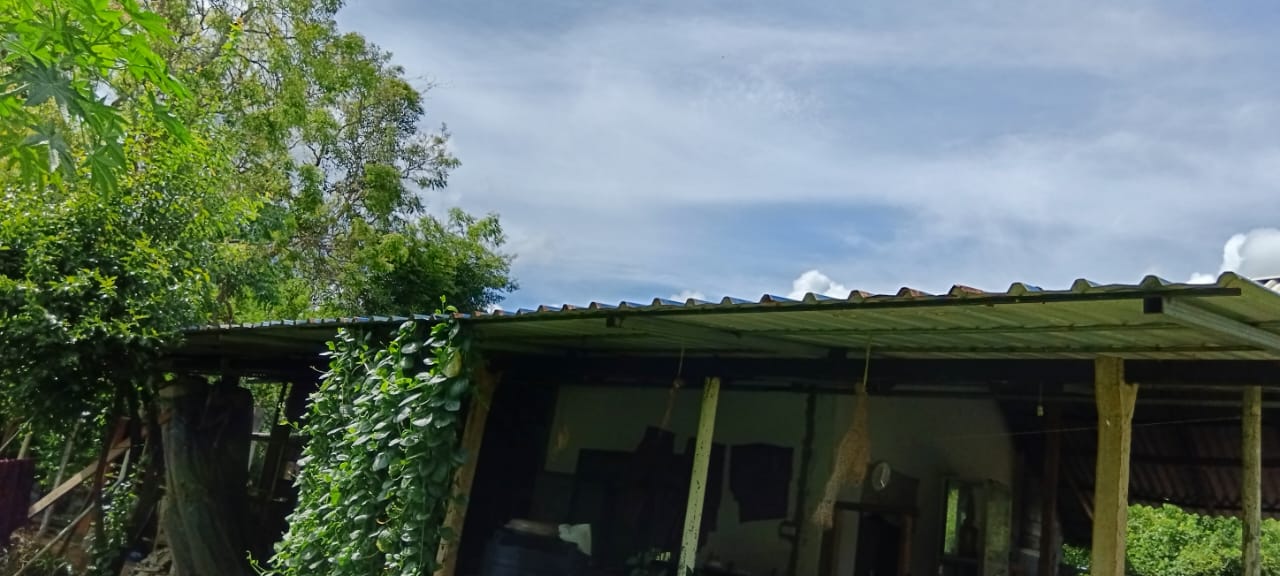 Land for Sale – Habarana (Moragaswawa)