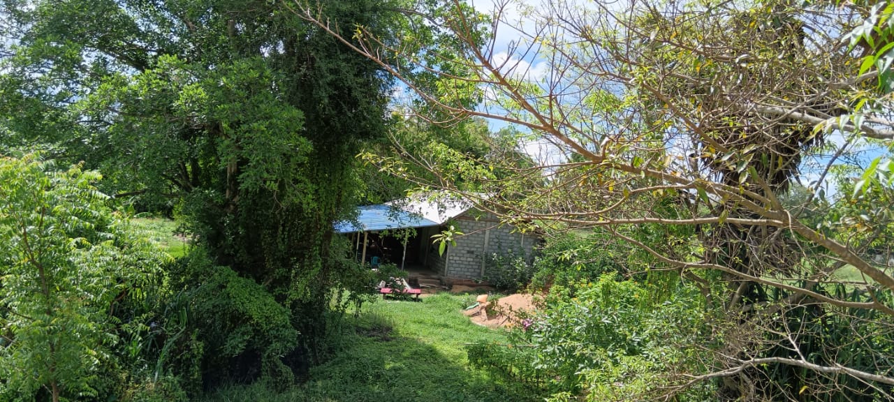 Land for Sale – Habarana (Moragaswawa)