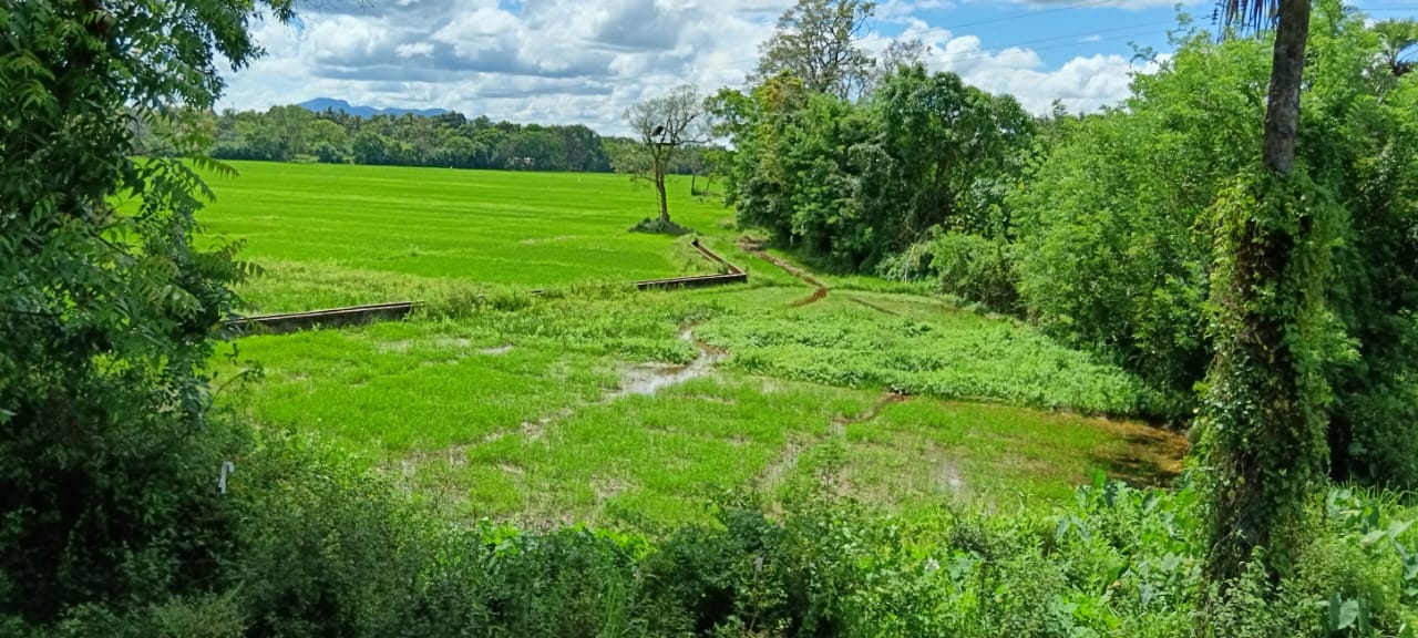 Land for Sale – Habarana (Moragaswawa)