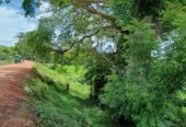 Land for Sale – Habarana (Moragaswawa)
