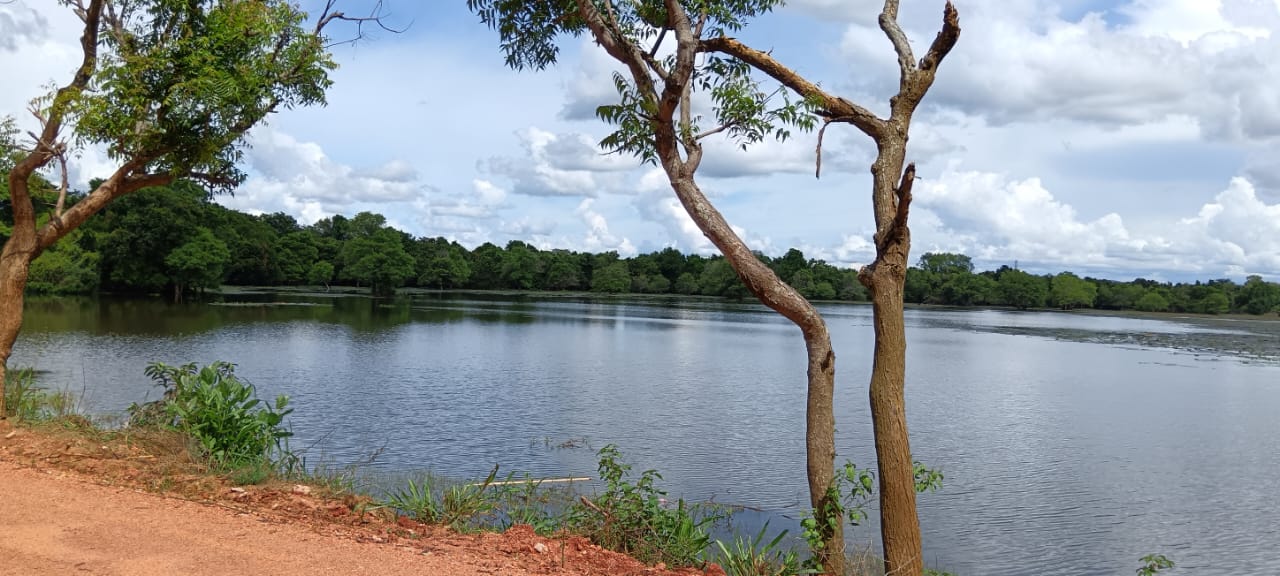 Land for Sale – Habarana (Moragaswawa)