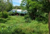 Land for Sale – Habarana (Moragaswawa)