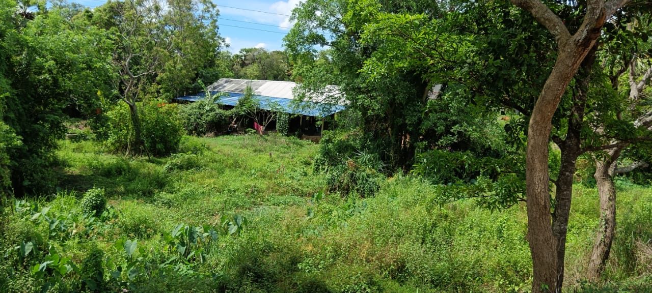 Land for Sale – Habarana (Moragaswawa)