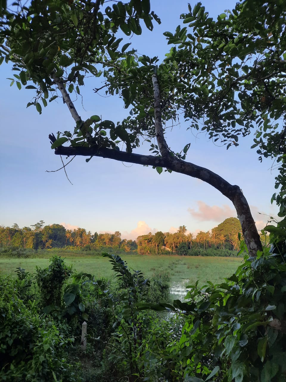 Luxury Villa for Rent in Magalgoda