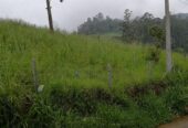 Land for Sale in Welimada