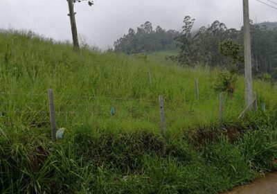 Land for Sale in Welimada