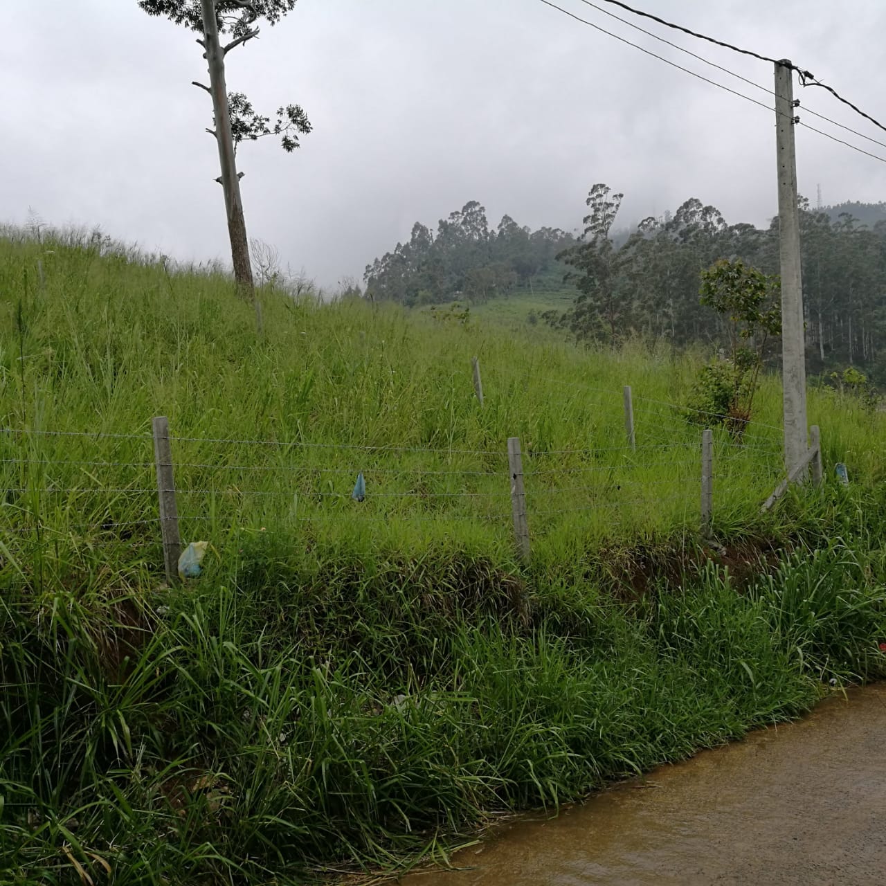 Land for Sale in Welimada