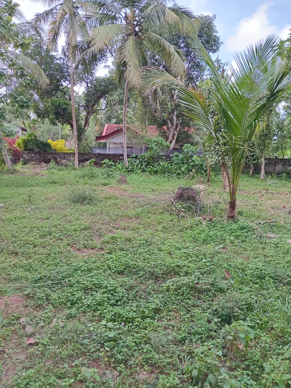Land for Sale in Minuwangoda.