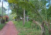 Land for Sale in Minuwangoda.