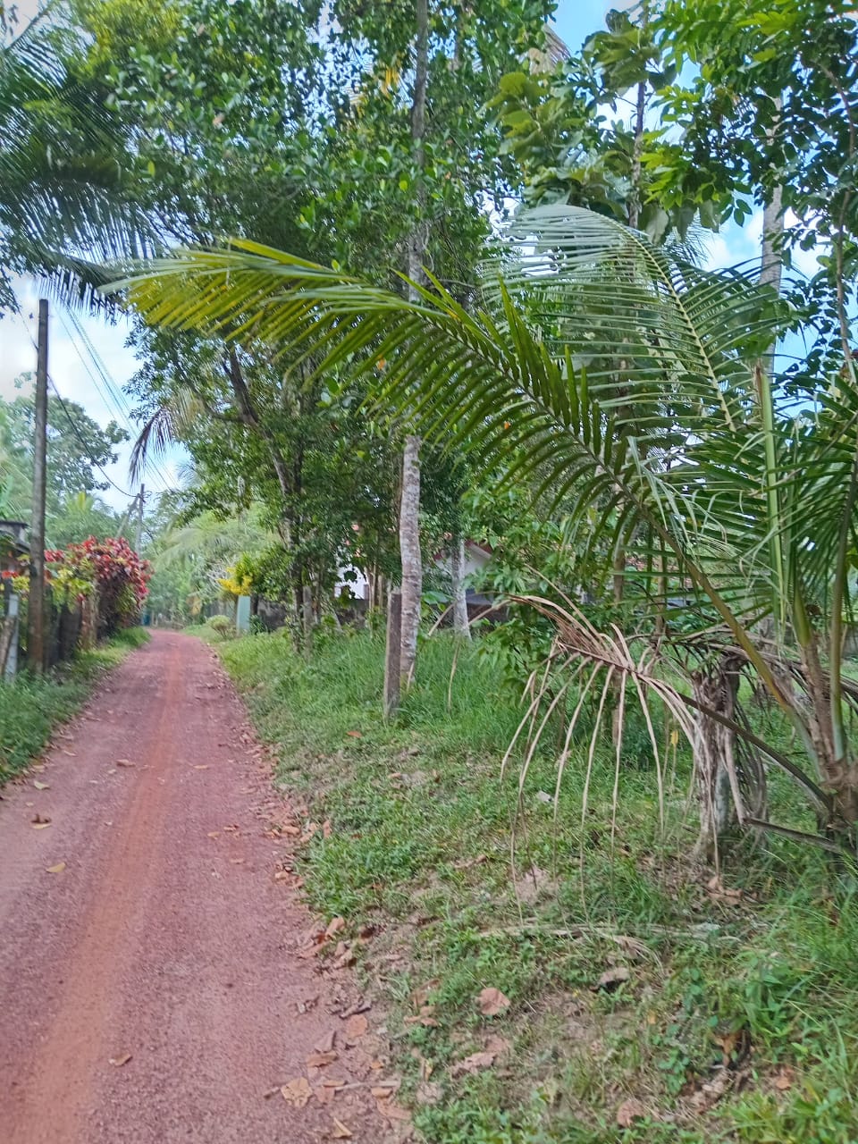 Land for Sale in Minuwangoda.