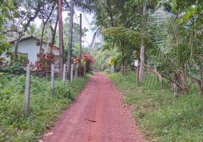 Land for Sale in Minuwangoda.