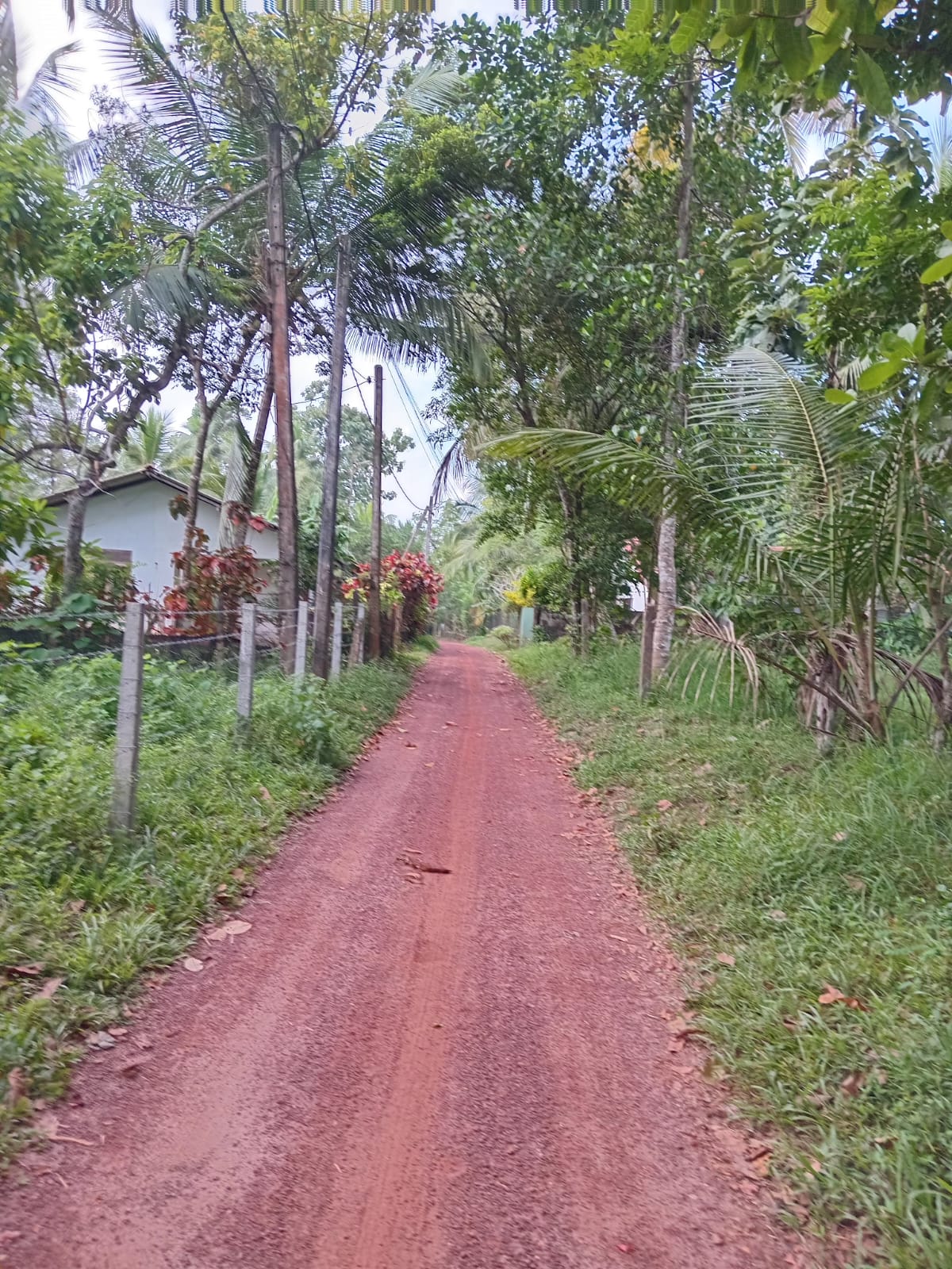 Land for Sale in Minuwangoda.